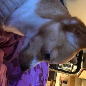 Meet your Posher, Caroline